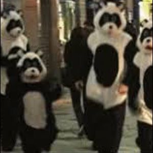 Meet your Posher, Alexandra